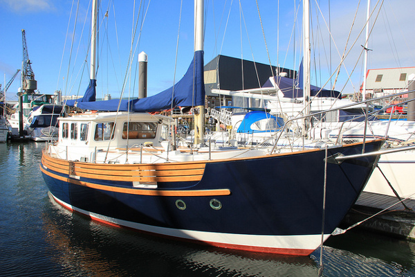 TimZim's Arctic Rose TimZim's Arctic Rose